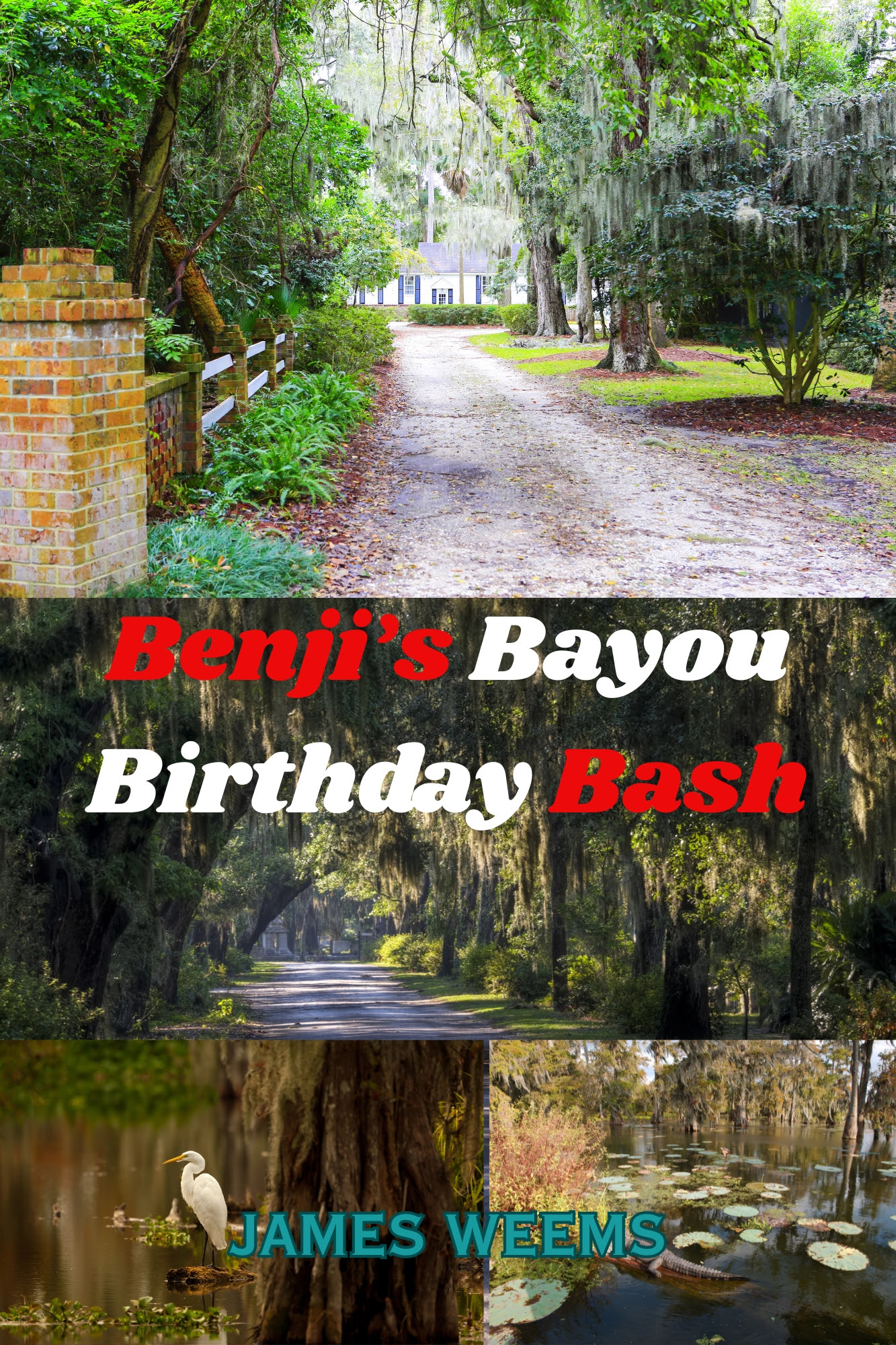 Benji's Bayou Birthday Bash
